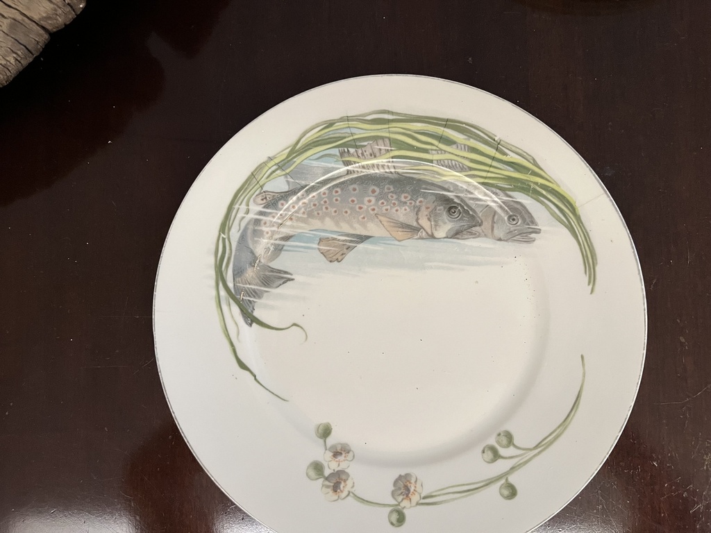 Juego de 2 platos antiguos