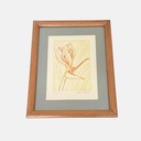 Litografía 22/60 - ave del parahíso por Alfonso Mirón