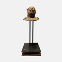 Busto por Sebastián Barrientos