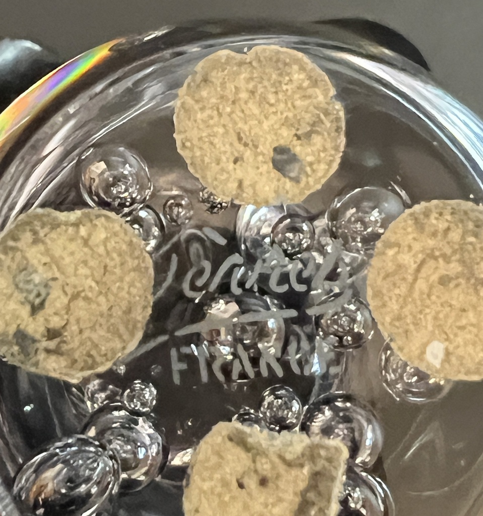 SEVRES CRYSTAL Pisapapeles de cristal transparente en forma de huevo - Francia