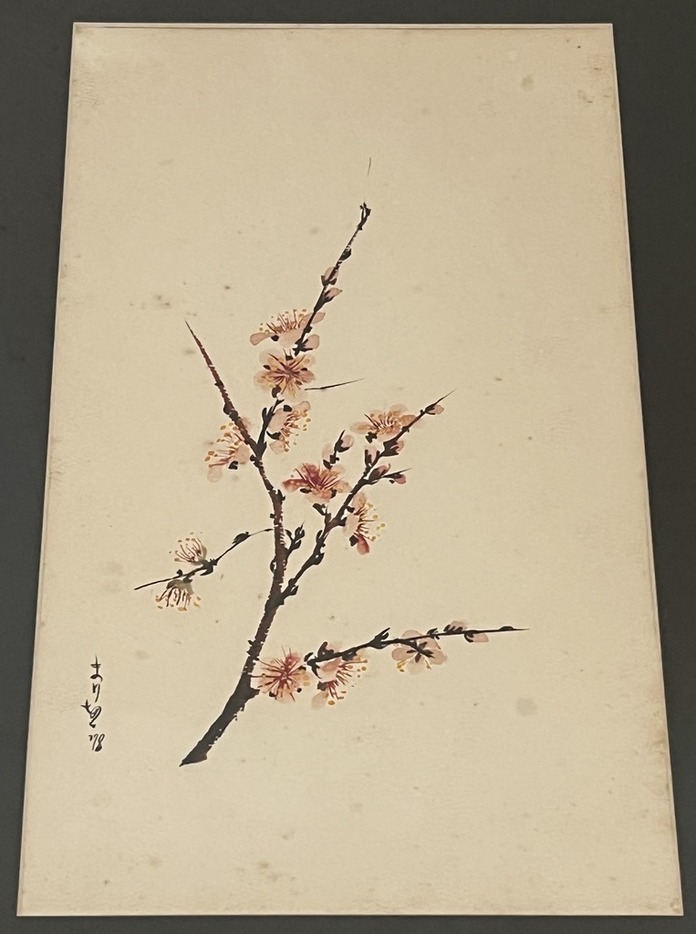 Acuarela de Arbol de Cerezo 1,978