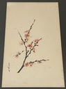 Acuarela de Arbol de Cerezo 1,978