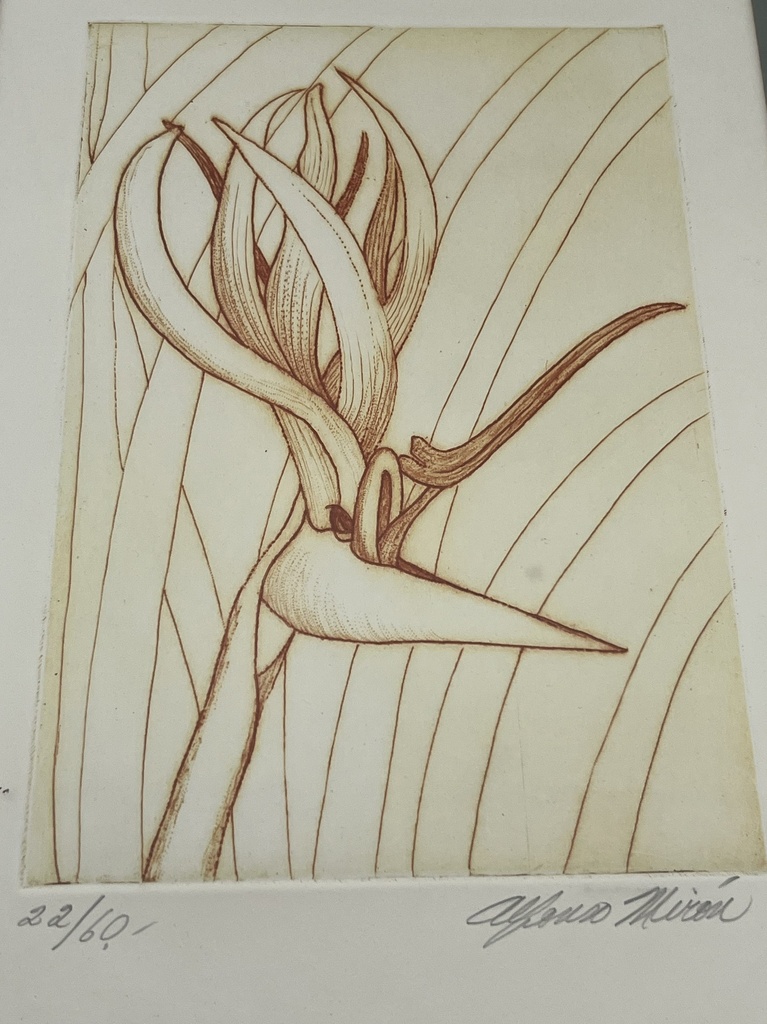 Litografía 22/60 Ave del Paraíso por Alfonso Mirón