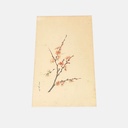 Acuarela de Arbol de Cerezo (firma china) enmarcada en paspartù negro y marco negro