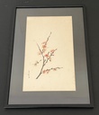 Acuarela de Arbol de Cerezo 1,978