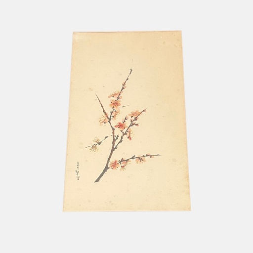 [MILz150698] Acuarela de Arbol de Cerezo (firma china) enmarcada en paspartù negro y marco negro