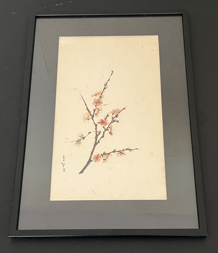 [MILz150698] Acuarela de Arbol de Cerezo 1,978