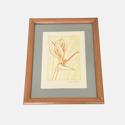 [MILz151758] Litografía 22/60 - ave del parahíso por Alfonso Mirón