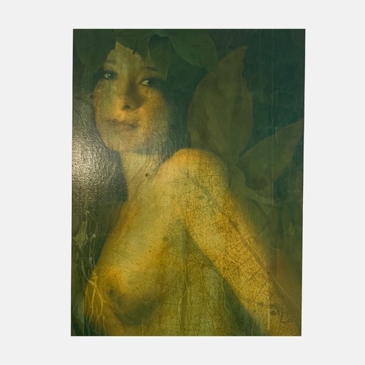 [AdC0066] Cuadro "Mujer" por Alfaro